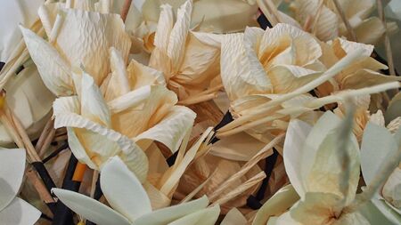Sandalwood flowers or artificial flowersの写真素材