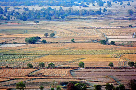 Field