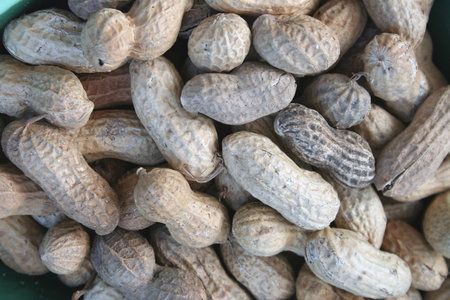 an image of Peanuts with shells