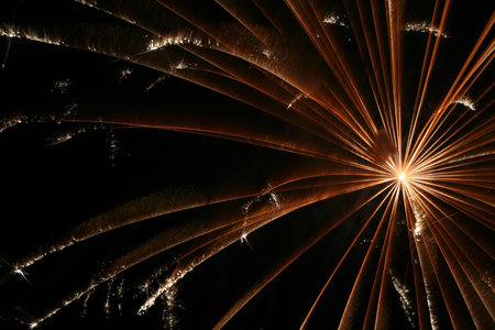 an image of exploding fireworks at night.