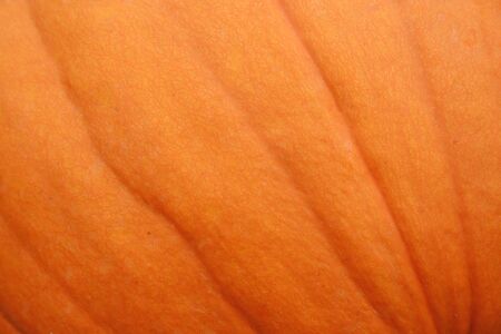 A close uo image of a Pumpkin for a Backgroundの写真素材