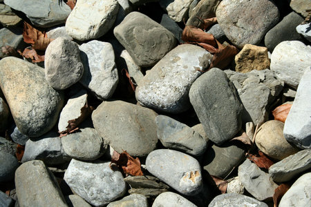 A Rocks and dead leaves background image