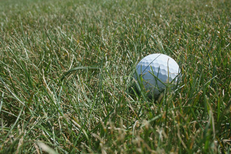 A white Golf ball in the roughの写真素材
