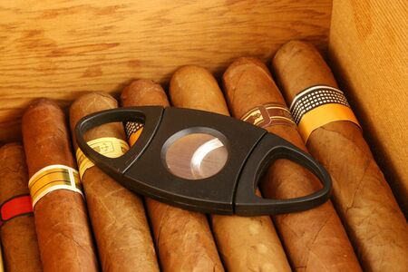 Cigars in a humidor with cutterの写真素材