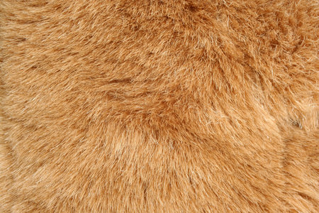 A Brown fur background texture