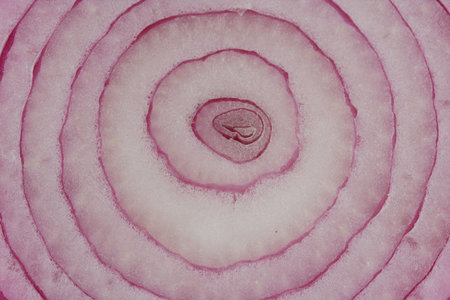 Sliced red onion background