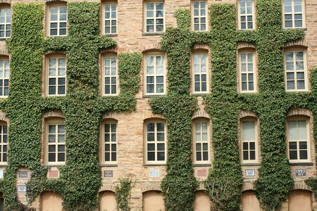 the ivy walls of princeton universityの写真素材