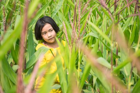 The Girl in yellow shirt is happy in cornfield.の写真素材