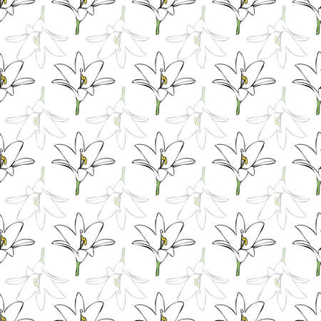 Vector white background white flowers seamless pattern. Lilies. Seamless pattern backgroundのイラスト素材