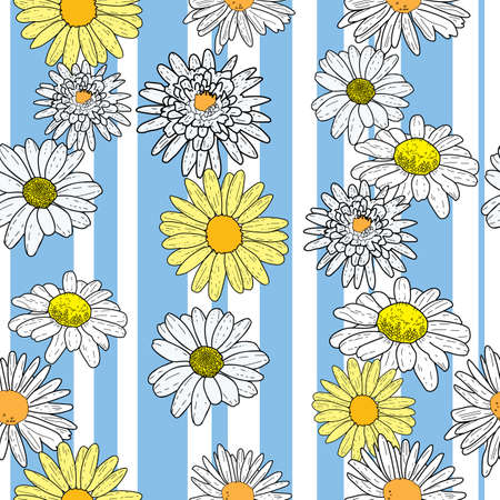 Vector white background daisy flowers and wild flowers. Seamless pattern backgroundのイラスト素材