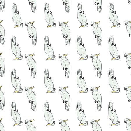 Vector white background tropical birds, parrots, exotic cockatoo birds. Seamless pattern backgroundのイラスト素材