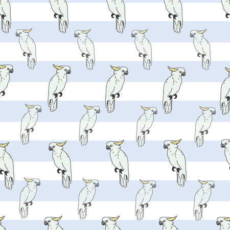 Vector white background tropical birds, parrots, exotic cockatoo birds. Seamless pattern backgroundのイラスト素材