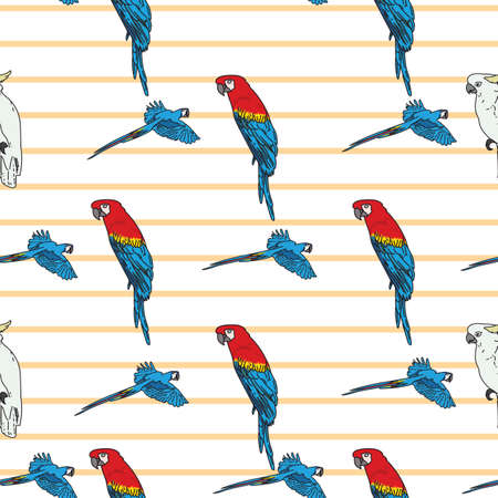 Vector white background tropical birds, parrots, macaw, exotic cockatoo birds. Seamless pattern backgroundのイラスト素材