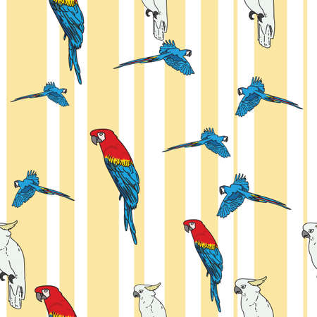 Vector white background tropical birds, parrots, macaw, exotic cockatoo birds. Seamless pattern backgroundのイラスト素材