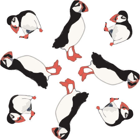 Vector white background ocean seabird, arctic birds, puffins. Seamless pattern backgroundのイラスト素材