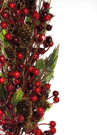 Red berry floal display on whiteの写真素材