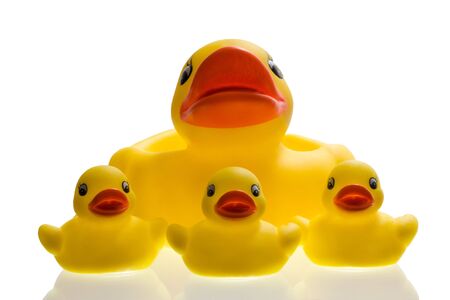 Yellow plastic ducks on whiteの写真素材