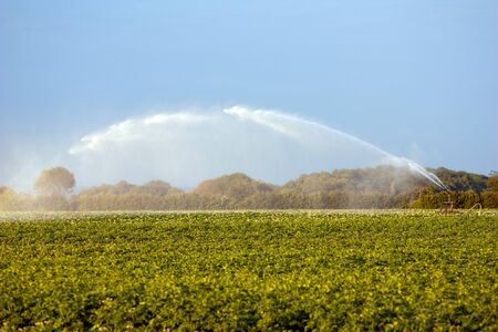 Agricultural water gun in cropfields in summerの写真素材