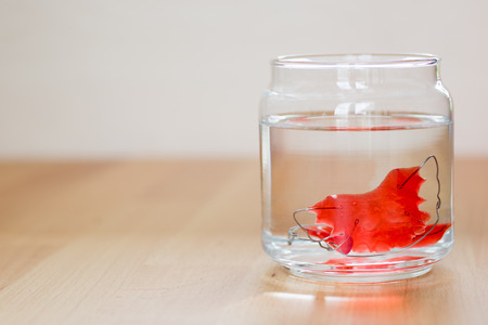 red Removable brace retainer float in cup with waterの写真素材