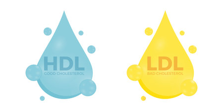 Vector set of good HDL and bad LDL cholesterol. High-density and low-density lipoprotein. Medical or pharmaceutical shining icons isolated on a white background. Vectorのイラスト素材