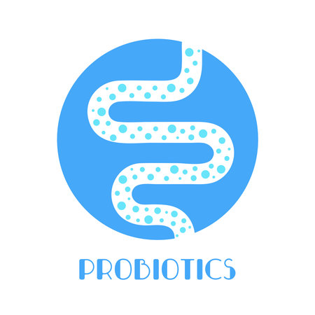Probiotics. Good bacteria and microorganisms for human health. Microscopic probiotics, good bacterial flora. Silhouette with healthy intestine in a light blue color. Vector illustrationのイラスト素材