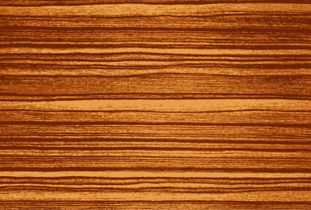 Vector wood plank background のイラスト素材