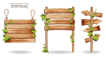 Wooden signs with green leaves decorative elements, Vector illustration のイラスト素材