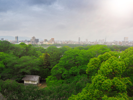 House in the forest in the city at Japanの写真素材