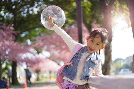 Asian little girl in garden under the blossom sakura tree backgroundの写真素材