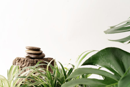 Stone product display podium on old log with nature leaves ornamental plantの写真素材