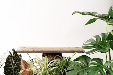 Wooden product display podium with nature leaves ornamental plantの写真素材