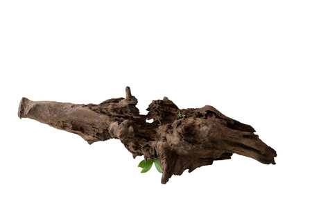 Old wood product display podium presentation minimal style, isolated on white background with clipping path for design workの写真素材