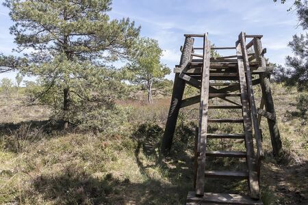 Wildlife park on a sunny dayの写真素材
