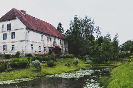 A lot of water lilies in a pond at homeの写真素材