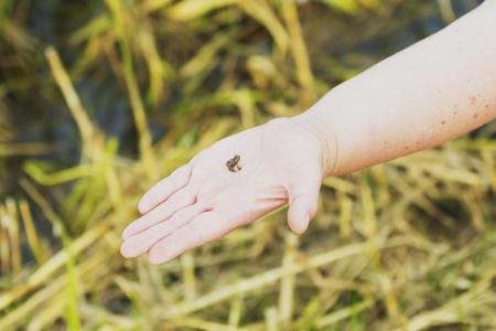 her hand there objectsの写真素材