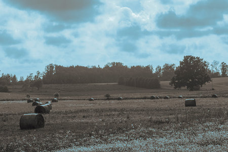 The beautiful Latvian fields with gravel roads and hay rollsの写真素材