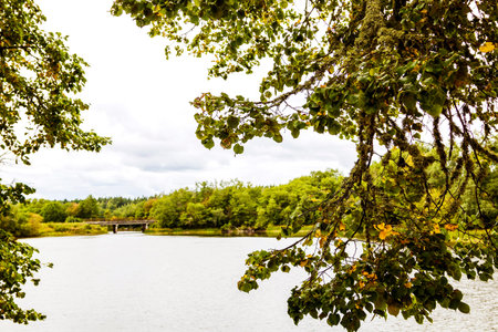 Very beautiful Latvian nature with rivers and forestsの写真素材