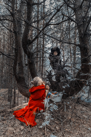 Children play in the Little Red Riding Hood and the wolfの写真素材
