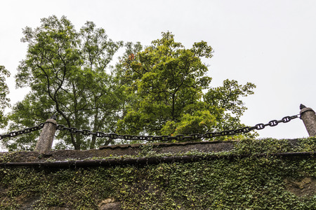 very old, historic bridge with high arches and green plants,の写真素材