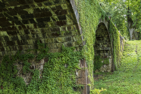 very old, historic bridge with high arches and green plants,の写真素材