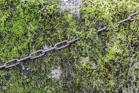 a rusty chain across between plantsの写真素材