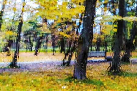 The yellow trees photo taken from behind a wet window.の写真素材