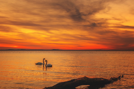 A very beautiful, colorful sunset over a blue seaの写真素材