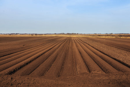 tractor handles Latvia's black land for planting