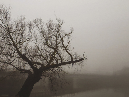 Latvia The surroundings of the bridge bridge in an early, foggy morningの写真素材