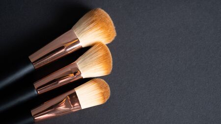 Professional makeup brush. Make-up brushes.の写真素材