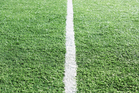 White stripe on an artificial grass of stadium