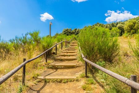 Stairs for hiking in a parkの写真素材