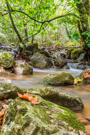 Wild landscape.の写真素材