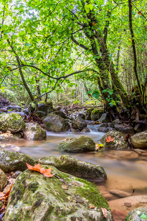 Stream of water in the autumn (Garrotxa province, Catalonia, Spain)の写真素材